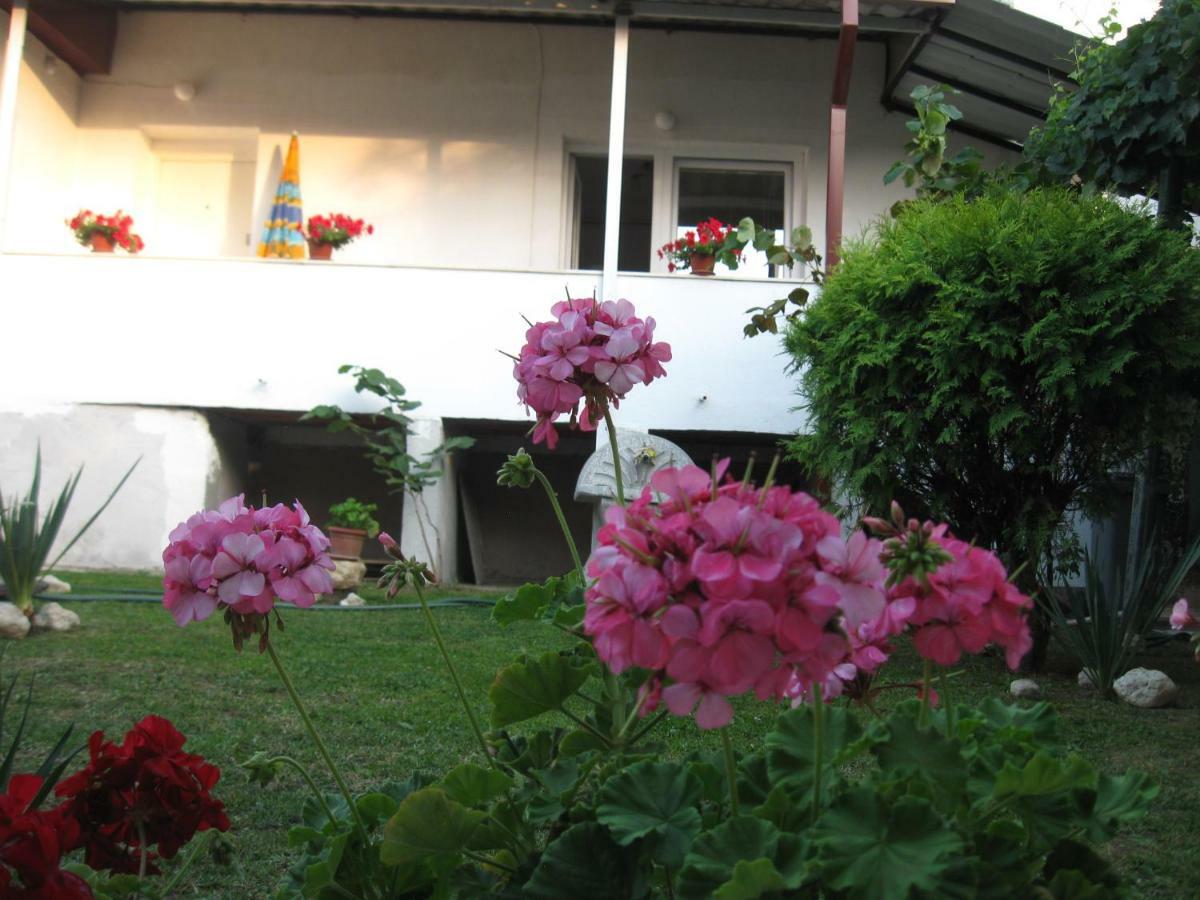 City Center Apartments Prilep Luaran gambar